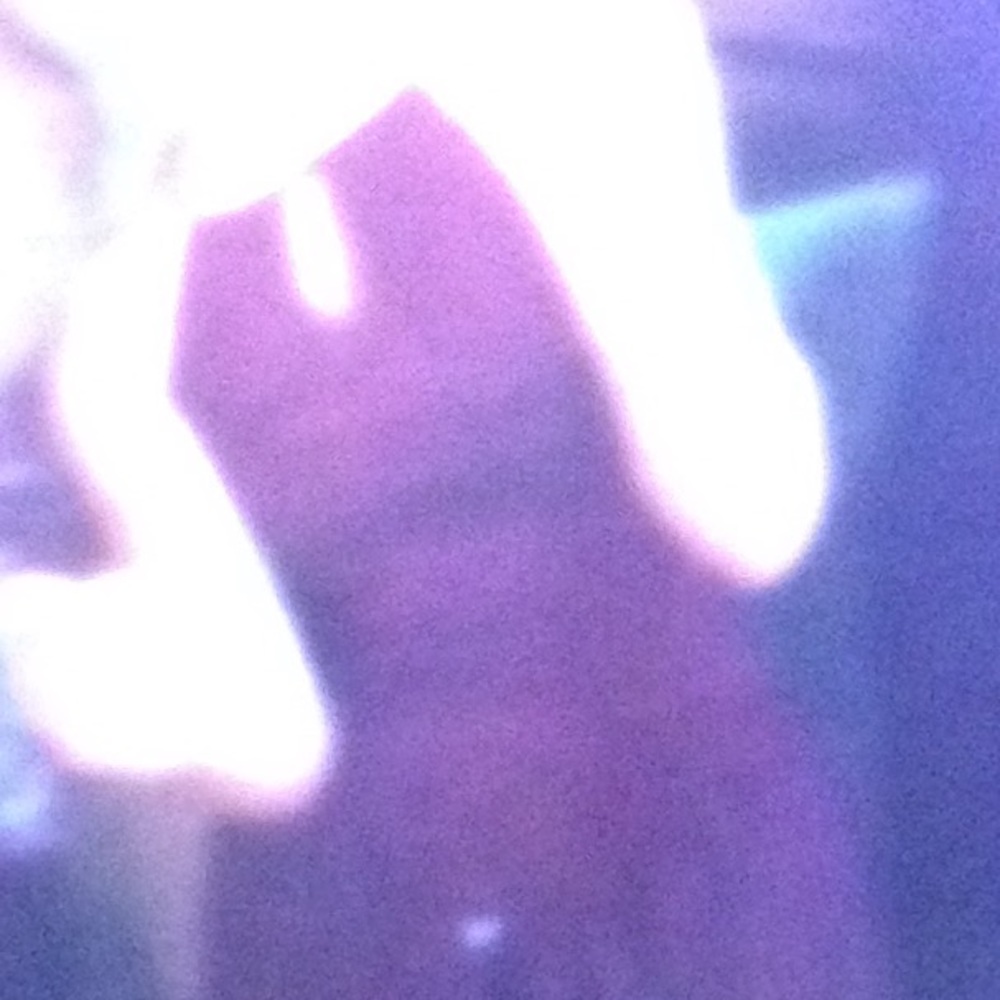 🐝 Posh Ambassadors, EJ